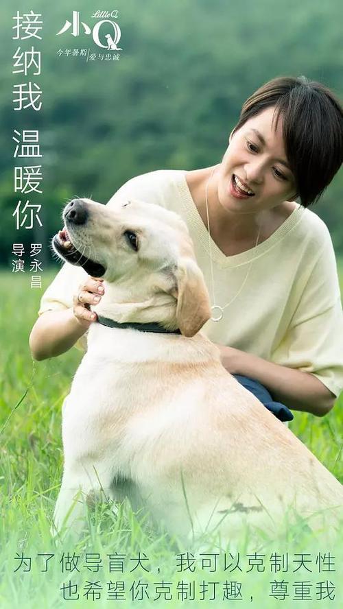 北方中部大学硕士毕业证